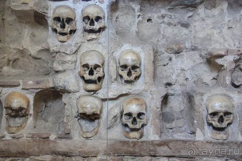 Балканские дневники: Греция —Македония —Сербия—Венгрия—Украина