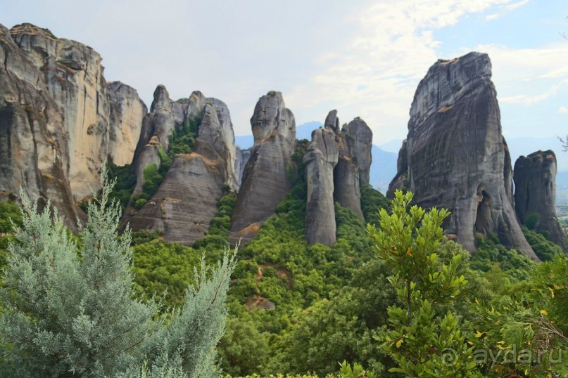 фото Zozas Rooms