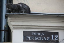 Котэссы