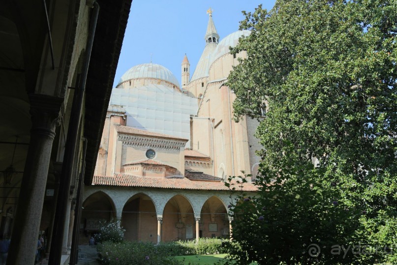фото Golden Tulip Grand Italia