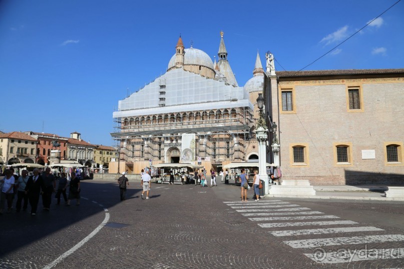 фото Golden Tulip Grand Italia