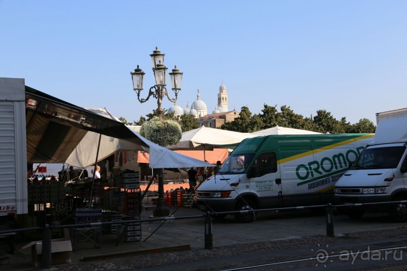 фото Golden Tulip Grand Italia
