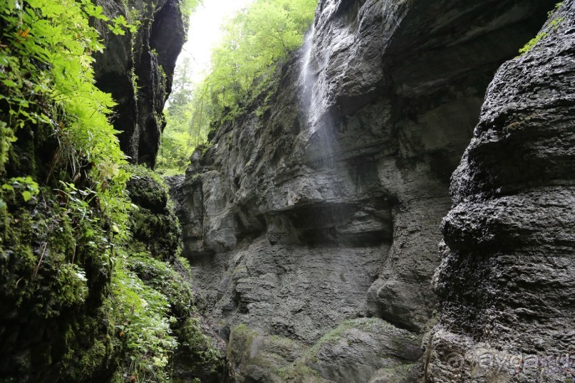 фото Partenkirchner Hof