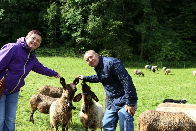 фото Partenkirchner Hof