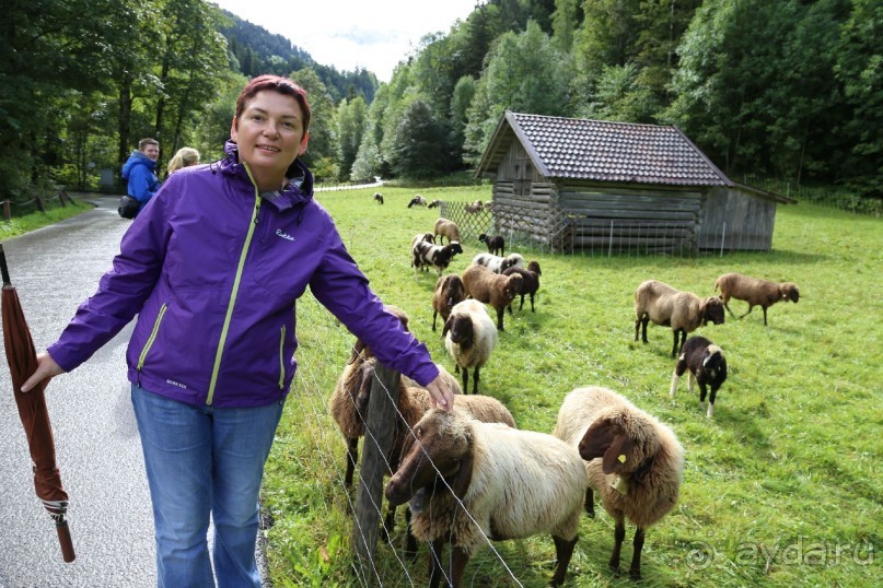 фото Partenkirchner Hof