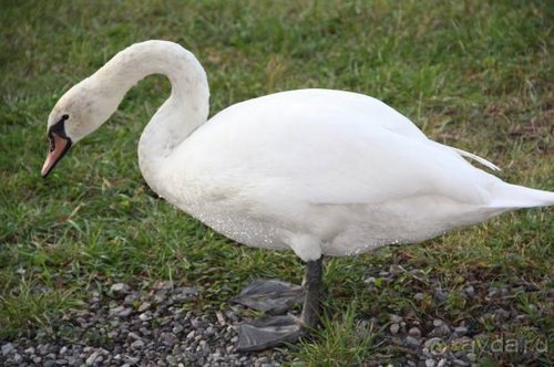 Прогулки возле Донецка — 2