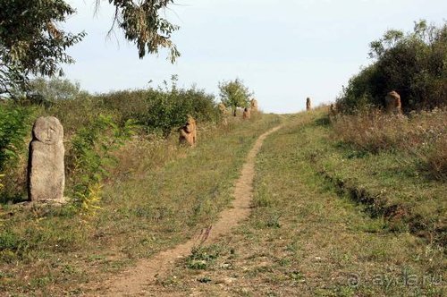 Альбом отзыва "Прогулки возле Донецка — 2"