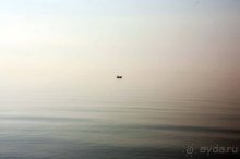 Альбом отзыва "Прогулки возле Донецка — 2"
