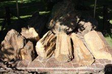 Прогулки возле Донецка — 2