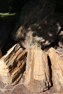 Прогулки возле Донецка — 2