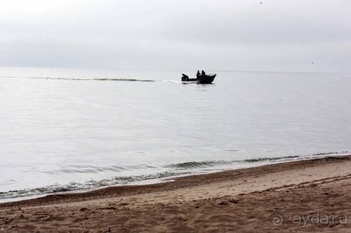 Альбом отзыва "Прогулки возле Донецка — 2"