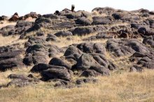 Прогулки возле Донецка — 2