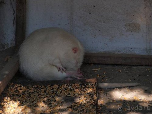 Прогулки возле Донецка — 2