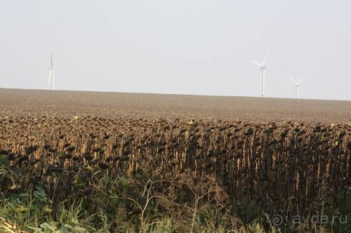 Прогулки возле Донецка — 2