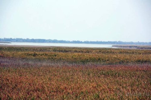 Прогулки возле Донецка — 2