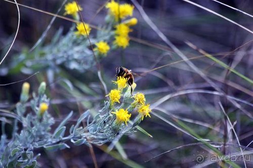 Прогулки возле Донецка — 2