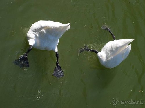 Прогулки возле Донецка — 2