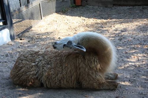 Прогулки возле Донецка — 2