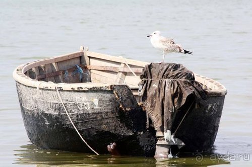 Прогулки возле Донецка — 2