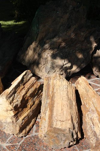 Прогулки возле Донецка — 2