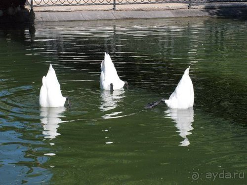 Прогулки возле Донецка — 2