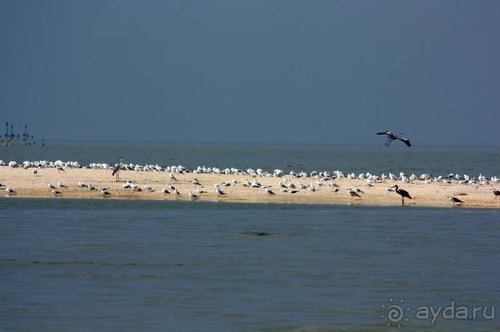 Прогулки возле Донецка — 2