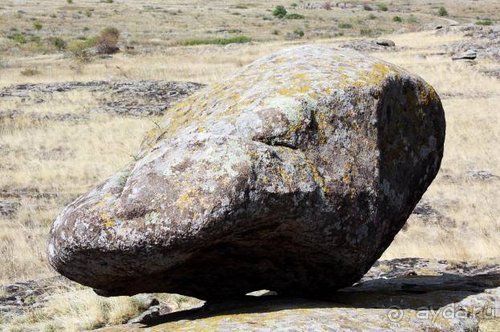 Прогулки возле Донецка — 2