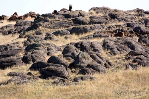 Прогулки возле Донецка — 2