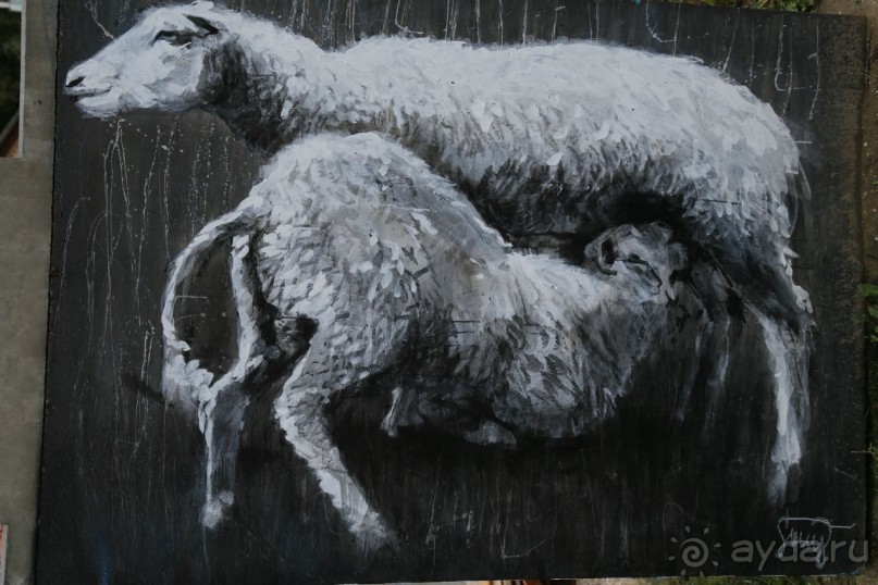 фото Тренчина