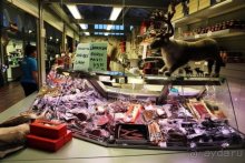 Семнадцать мгновений зимы в Суоми