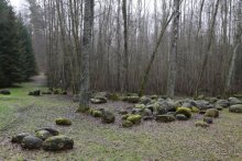 Семнадцать мгновений зимы в Суоми