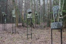 Семнадцать мгновений зимы в Суоми