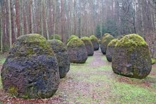 Семнадцать мгновений зимы в Суоми