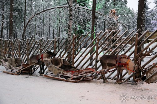 Семнадцать мгновений зимы в Суоми