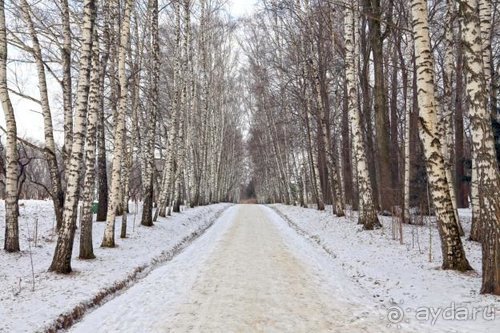 Семнадцать мгновений зимы в Суоми