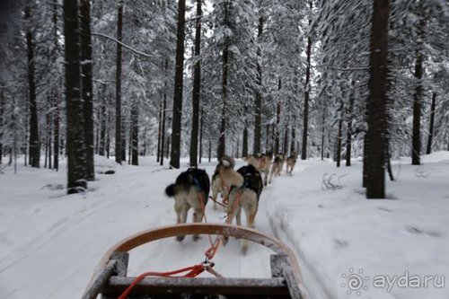 Семнадцать мгновений зимы в Суоми