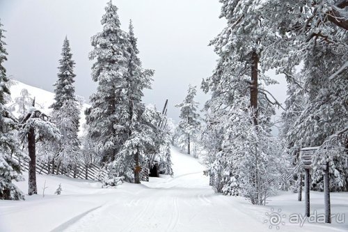 Семнадцать мгновений зимы в Суоми