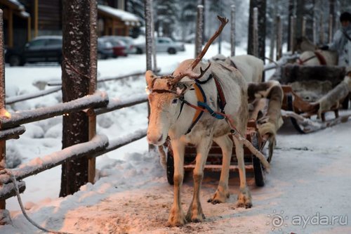 Семнадцать мгновений зимы в Суоми