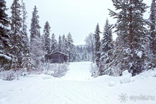 Семнадцать мгновений зимы в Суоми