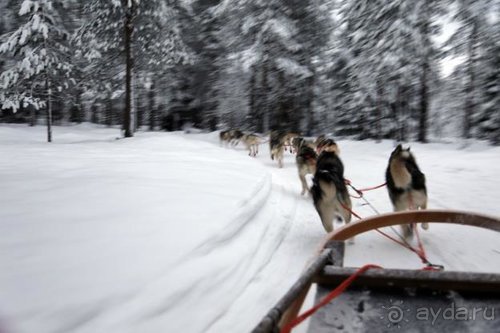 Семнадцать мгновений зимы в Суоми