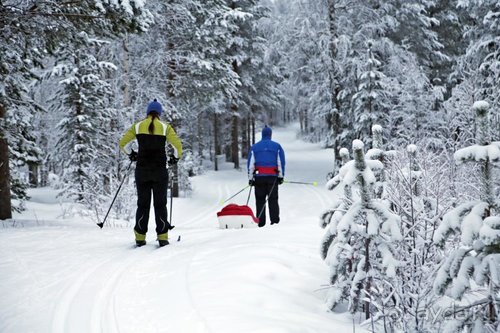 Семнадцать мгновений зимы в Суоми