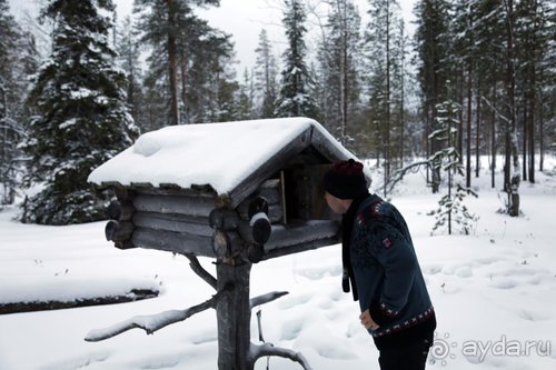 Семнадцать мгновений зимы в Суоми