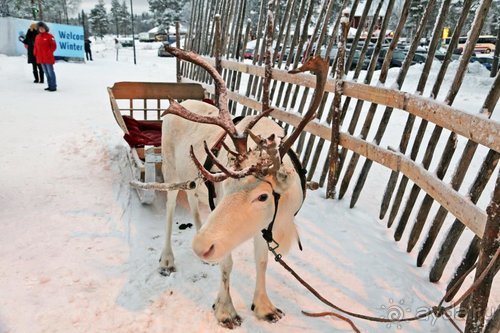 Семнадцать мгновений зимы в Суоми