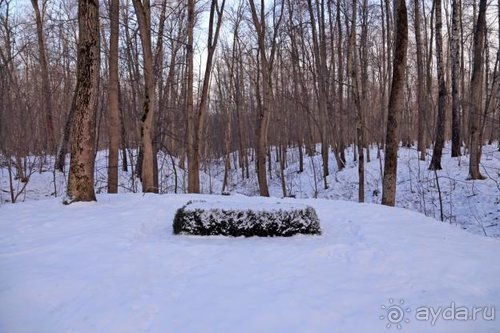 Семнадцать мгновений зимы в Суоми