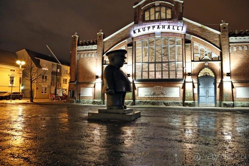 Семнадцать мгновений зимы в Суоми