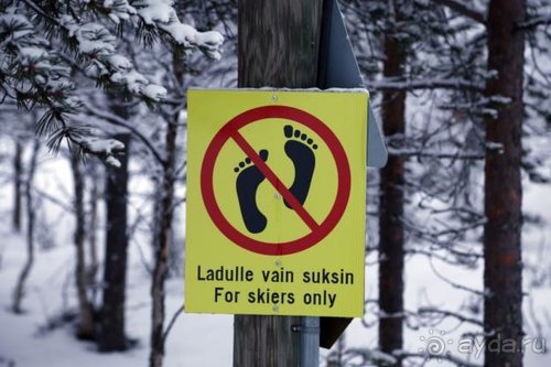 Семнадцать мгновений зимы в Суоми