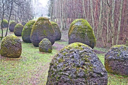 Семнадцать мгновений зимы в Суоми