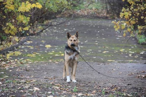 Осенний градус Закарпатья