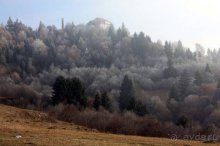Альбом отзыва "Осенний градус Закарпатья"