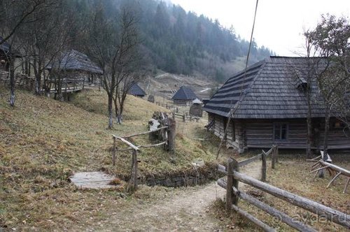 Альбом отзыва "Осенний градус Закарпатья"